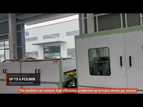 Video: Sheet to Sheet 1600 mm | Automatic No.4 + SB